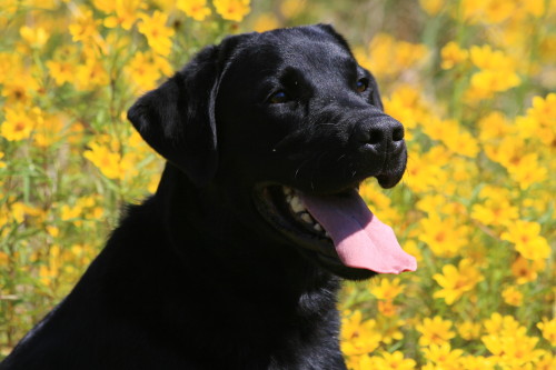 cooper 9.07.08 img 3827 1