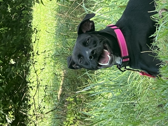 Josie